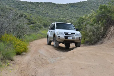 DSC_6860 (Large).JPG